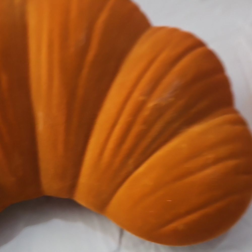 2** Croissant-Shell-Shaped Decorative Catch-All Storage - Picture 9 of 12